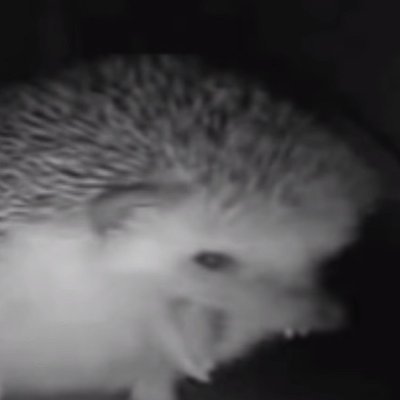 Profile Picture of Sir Charles Jessie Huettenrauch (@SHuettenrauch) on Twitter