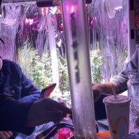 Vemzo (@vemzor6) 's Twitter Profile