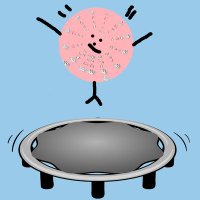 TheFlyingCircle (@theflyingcircle) 's Twitter Profile