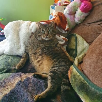 Profile Picture of Michelle Renee Trout (@shellojelloMARS) on Twitter