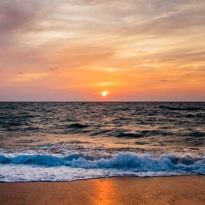 gaquintero's profile picture. 