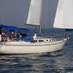 Clay Greene (@greenesail) Twitter profile photo Clay Greene (@greenesail) Twitter profile photo