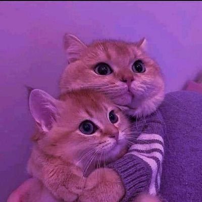 اللهم حسن الخاتمة💜😌
- كانت احلامي كثيرة عندما كنت طفلا..الآن حلمي الوحيد اعود طفلا كما كنت
- إن الله لا يترك عبدهه ف منتصف الطريق💜