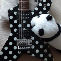 神風ぎたあ♪(@kamikaze_guitar) 's Twitter Profile Photo