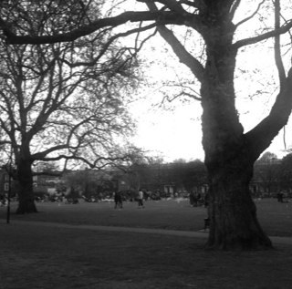 silvernomad's profile picture. horn player and conductor, educator, Timani music and movement teacher, currently living in Athens, using twitter to follow diverse interests around the world.