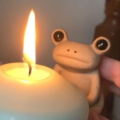 Candle Frogさんのプロフィール画像