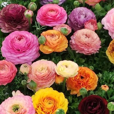 asa_ymnm's profile picture. 20↑アジアのドラマとそこに出ている役者さんにハマっています。
今の一番は中国ドラマ。ハマる人が増えて嬉しいこの頃。🦁🐰ファンでもあります。