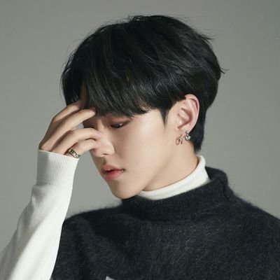 ( BL!RP ) 1 9 9 6 - a softcopy of SVT's Hoshi, leader of 퍼포 team. Horangi inside, horangi outside.