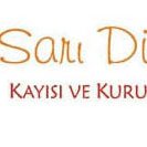 Sarı Dünya (@hypermc) 's Twitter Profile