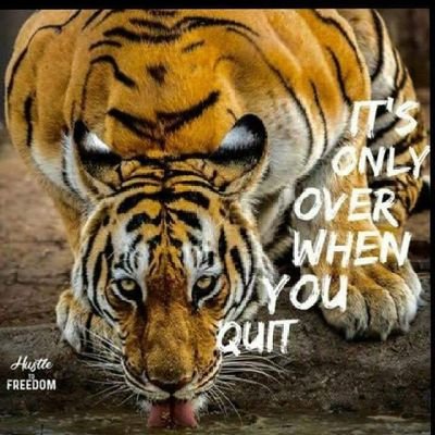 Sunnyja59495249's profile picture. Character and attitude...simple and honest with sense of humor.