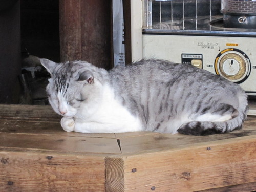 sakanoshita_s's profile picture. 兼業大家 | 神奈川県在住 | 宅建士 | 所有物件神奈川4棟 | 専業化準備中| 事業は入口で、投資は保有できるかで、投機は出口で。| 成功はアート、失敗はサイエンス。|運とは、準備と機会が一致した瞬間