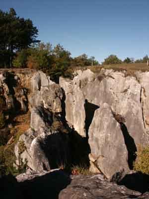 OTViroinval's profile picture. 