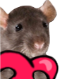 hyper_rat Profile Picture