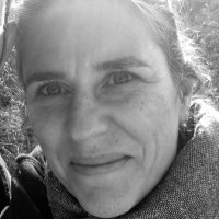 Sonya Maldar (@jacaranda146) 's Twitter Profile