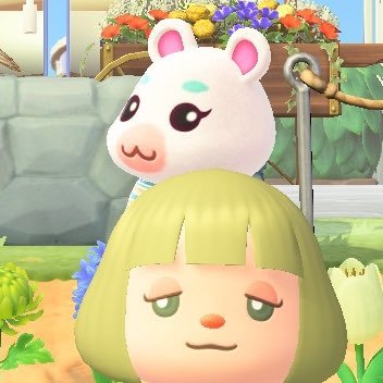NASAYADE's profile picture. みどりの島 思い出記録用アカウント🪴