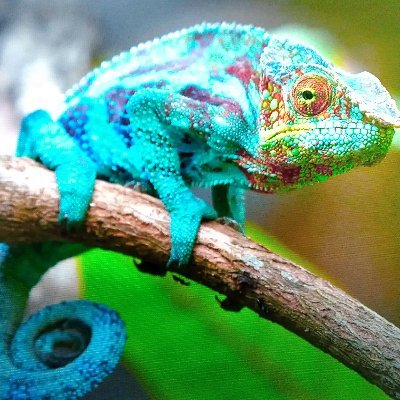 NotapuppetS's profile picture. AmericanEyesWideOpen

BlessedJust2be

*GottaSayNO
To
TheHipacracyOf
TheHierarchy*