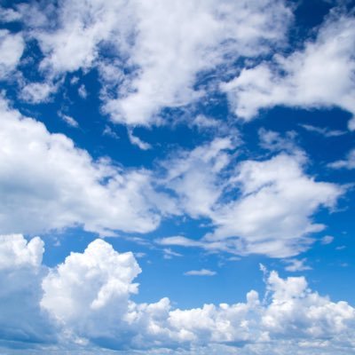 fghytgrd's profile picture. Fight for what’s right