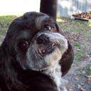 Jodi Bratcher - @jrbrat98 - Twitter