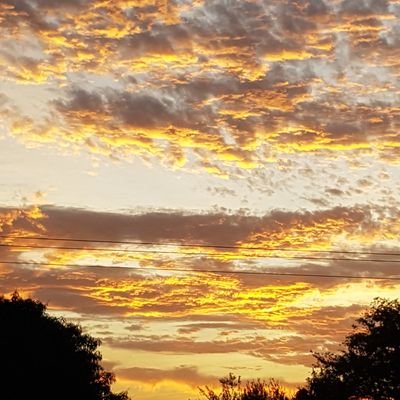 CesaEstetica's profile picture. 