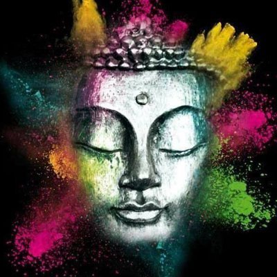 Balinoo est une Ets de bien-être spécialisée dans la pratique de la méditation tous niveaux, les bains de forêt (Shinrin Yoku) et la communication animale.
