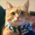 Christine Hinds (@christi10139909) Twitter profile photo Christine Hinds (@christi10139909) Twitter profile photo