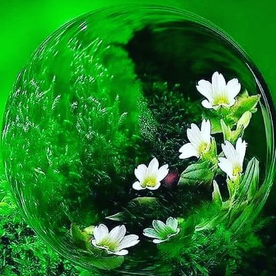 Pradeep03821102's profile picture. Belive where others dought, Work where others refuse, save were others waste, stay were others quite, see you will win were others lose.