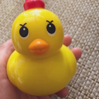 年長2人👦👧知育&中受情報収集アカ🌼個性を尊重する難しさを感じつつ、2人の世界を広げる手助けとなる知育を勉強中です。最近は旅育・動育に共感/1歳半〜DWE正規/中国語(私が普通话日常会話レベル)/あと伸び目指して今は体づくりと耳育て中心です☺︎畑はじめました🌱