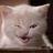 Luis Zaragoza (@luis__zaragoza) Twitter profile photo