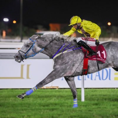 Racehorse Trainer and Bloodstock Manager now in Qatar.