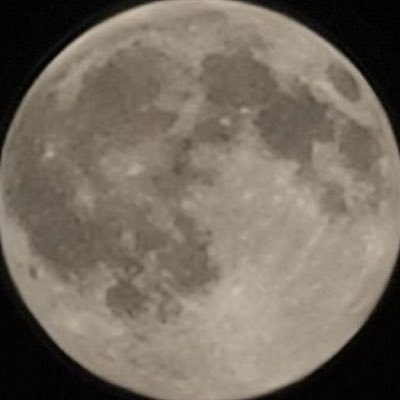 sbgc69's profile picture. 2! 3! hello, we are sexc bullkies!!