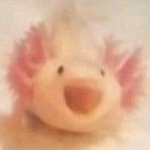 justafan_of_all's profile picture. естет-підривник