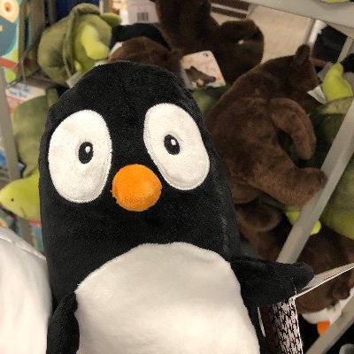 chocoan__pan's profile picture. お笑いとかその他色々❕