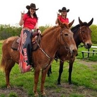 UCM Farms (@farmsucm) 's Twitter Profile