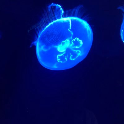 勉強垢です。高校教員になるため数Ⅲ猛勉強中。2021年4月〜明星大学通信学部生。中高生の数学を少しでもお助けできれば！(数Ⅲは現在区分求積まで実施するもまだまだ…)※#数学#勉強垢