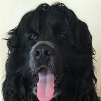 Lunatic Larry (@lunaticlarry3) 's Twitter Profile