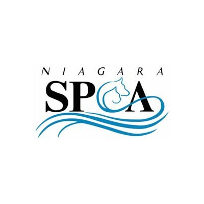 Niagara SPCA is a no-kill animal shelter in Niagara Falls, N.Y.