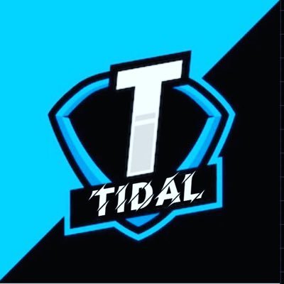 TeamTidal2021's profile picture. No Team Anymore