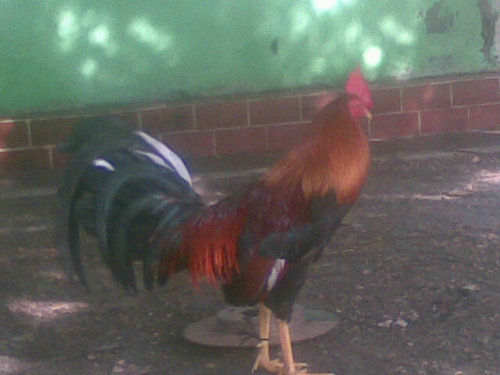 edvc85's profile picture. 