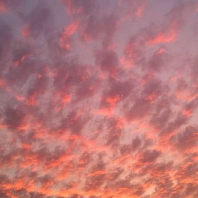 shirleyahuanari's profile picture. Desconectar para conectar.💗