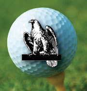 WEGC is a private 27 hole golf, social, swim & tennis club in Naperville, IL