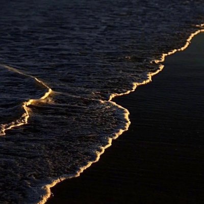 yeahhhh60042798's profile picture. 