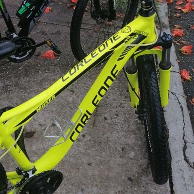 Dialejandro's profile picture. 