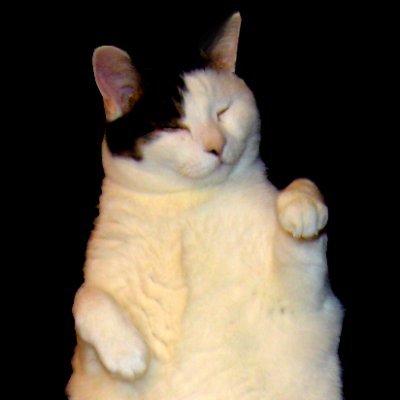 🎵 Cat, I'm a kitty cat 🎵

Artist, Animator, Game Dev