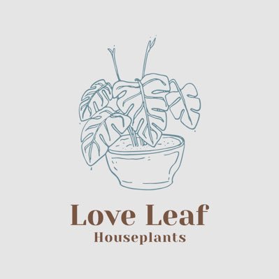 Passionate about houseplants. We are Andy & Marta, plant addicts that have turned our passion into a small family business. Love life, Love Leaf! 🪴