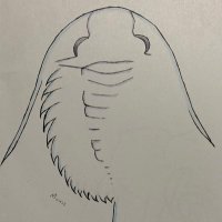 Geologize (@geologize) 's Twitter Profile