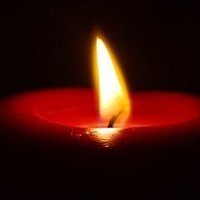 democracycoma (@democracycoma1_) 's Twitter Profile
