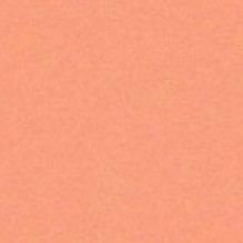 _soobservo___'s profile picture. só observo