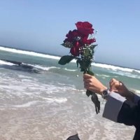 ﮪﻧادي (@hlslr3) 's Twitter Profile
