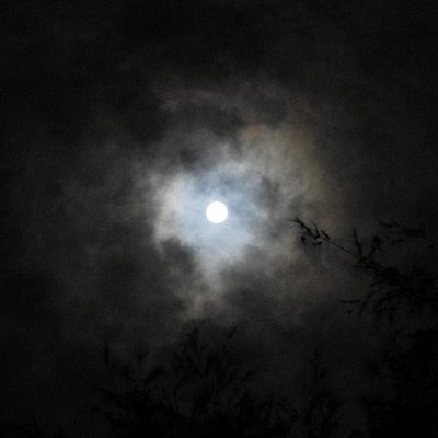 dipperxim's profile picture. Journal of my trade ideas
Not financial advice
“..Only when it is dark enough can you see the stars”. -Martin Luther King, Jr