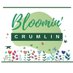 Bloomin Crumlin (@BloominCrumlin) Twitter profile photo